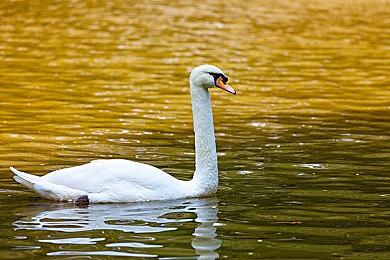 SE《最终幻想起源：天堂的陌生人》全新截图分享