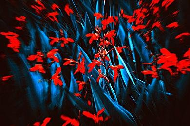 SE CEO承诺“积极应用AI”和新技术进行内容开发