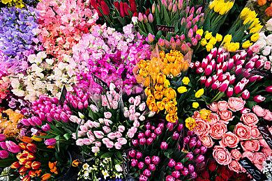 《博德之门3》《古墓丽影：崛起》即将支持DLSS